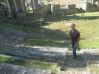 volterra