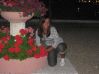 ANIA198111